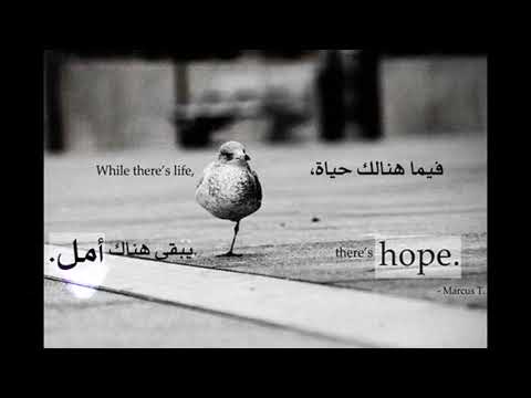 هاعيش مدام الشمس لما تغيب بتطلع فوق مكان تاني