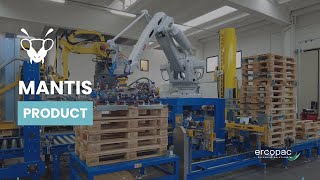 Automatic Pallet Inspection | MANTIS System for Empty Pallet Quality Control