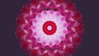 Spectrum- Wayne Rowand- Pittsburgh Modular SV1- Korg Monologue