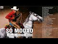 Modão Do Brasil Só As Top -  Seleção Modao Sertanejo - Música Só Modão de Viola