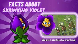 facts about shrinking violet from pvz 2 - plants vs zombies 2