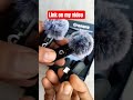 GRENARO WIRELESS MICROPHONE 🌾🏝️#gadget #trending #unboxing #entertainment #product #3d #shorts