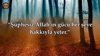 Nasser al Qatami   Ankebut Suresi