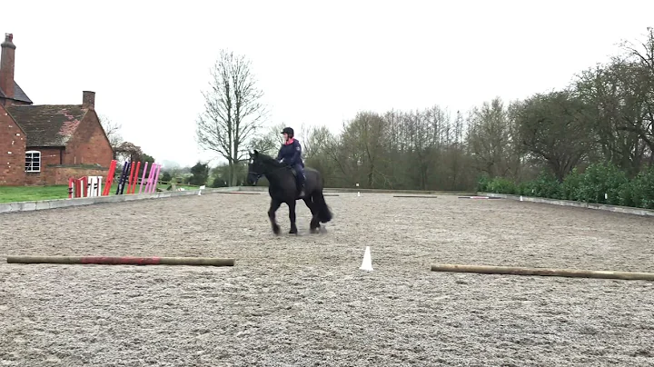 Lydia Ellison interdressage walk trot test m restr...