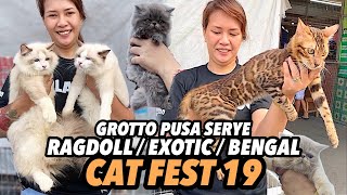 MGA MAGAGANDANG PUSA SA GROTTO | GROTTO PUSA SERYE | JANUARY 21, 2024