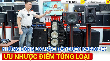 Điểm danh những dòng loa nào hát được karaoke, Ưu nhược điểm từng loại loa