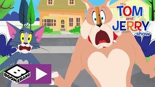 The chase is on, little monster after tom cat and spike dog! subscribe
to boomerang uk channel: https://www./channel/uc...