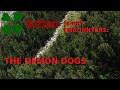 4Chan Scary Encounters - The Demon Dogs