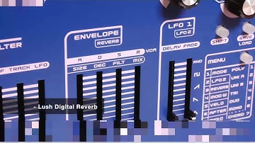 Nymphes 6-Voice Poly Synth  - Bassline (no quantize)