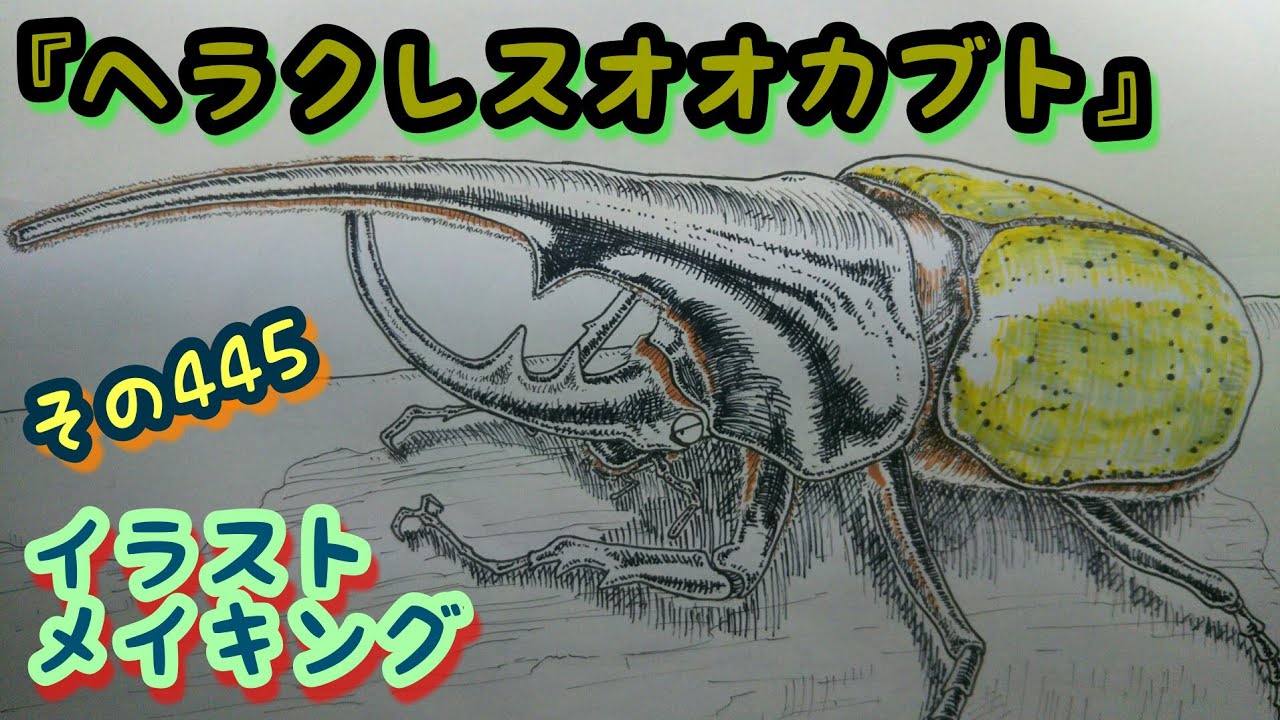 ヘラクレスオオカブトのイラスト描いてみた Hercules Beetle Drawing Youtube