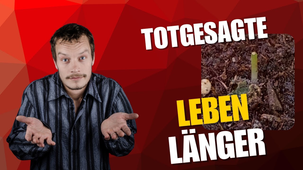 Warum Geduld beim Growen entscheidend ist – ein typischer Anfängerfehler