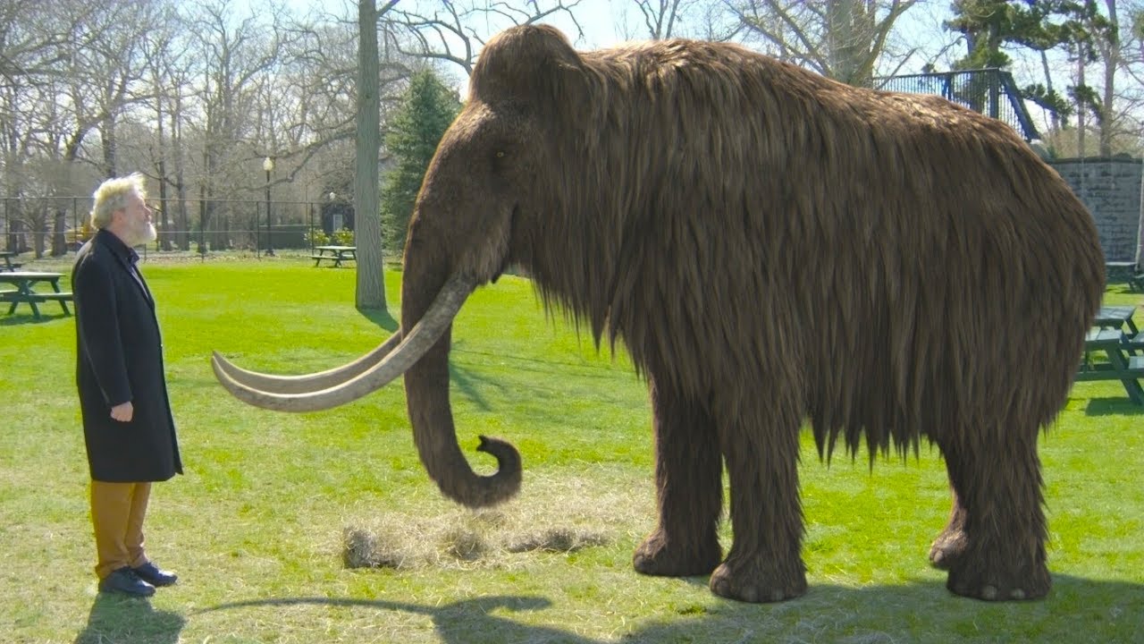 Unterschied Zwischen Mammut Und Elefant "Mammufant" - Der Mammut Kommt Zurück, Ein Greuel Zwischen Elefant Und