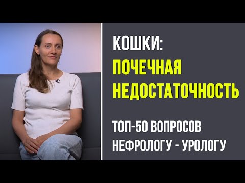 Невероятный разговор о кошках с ветеринаром, Вероникой Токуновой. См. тайминг в описании