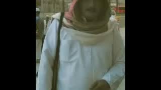 Kelayung Layung(Kereto Jowo) - Noor usman