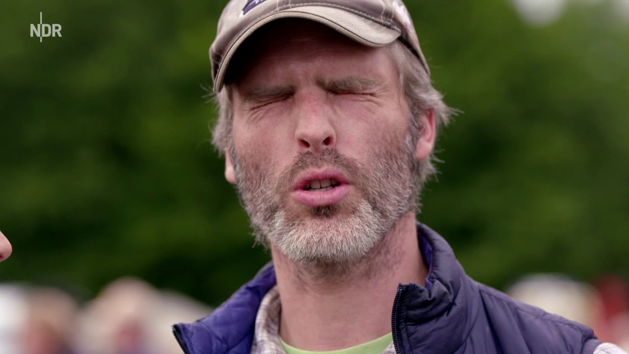 Das Pferd Kaltblüter