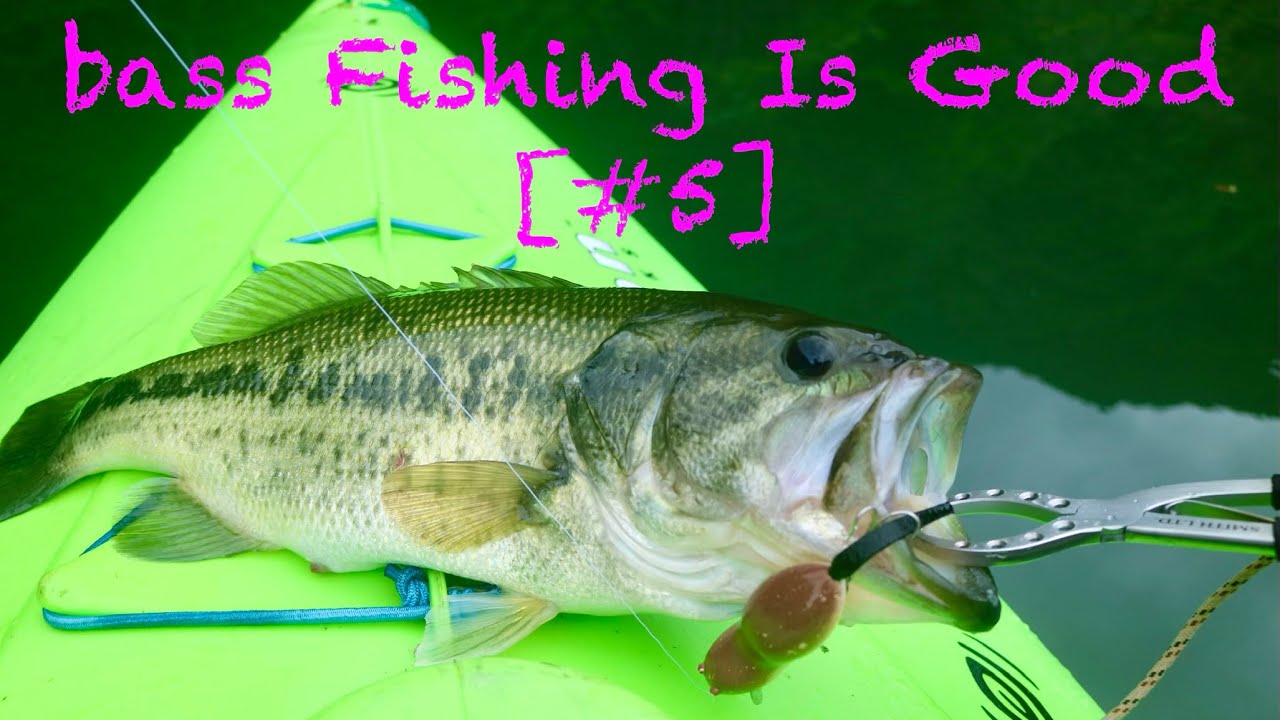 bass Fishing Is Good [#5]  Heddon Lures