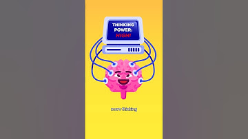 Our Brains Are Not Special. But Why Are We?