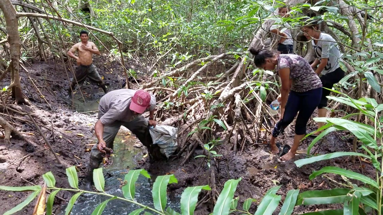 Quitándonos El Lodo y Lavando Los Punches La Punchada 9 de 12 YouTube