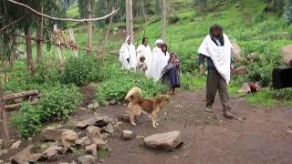 THE POWER OF ETHIOPIAN COFFEE FILM BY WUBETU SHIMELASH