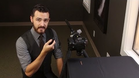 Using a Reflector in Macro Photography