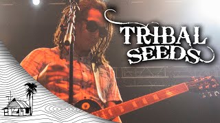 Tribal Seeds - Gun Smoke (Live at Reggae Rise Up Florida)