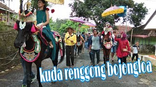 Kuda renggong bojongloa buahdua #1