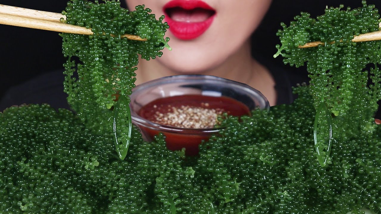 ASMR Sea Grapes Mukbang 바다포도 리얼사운드먹방 Anggur laut 海ぶどう องุ่นทะเล 이팅사운드
