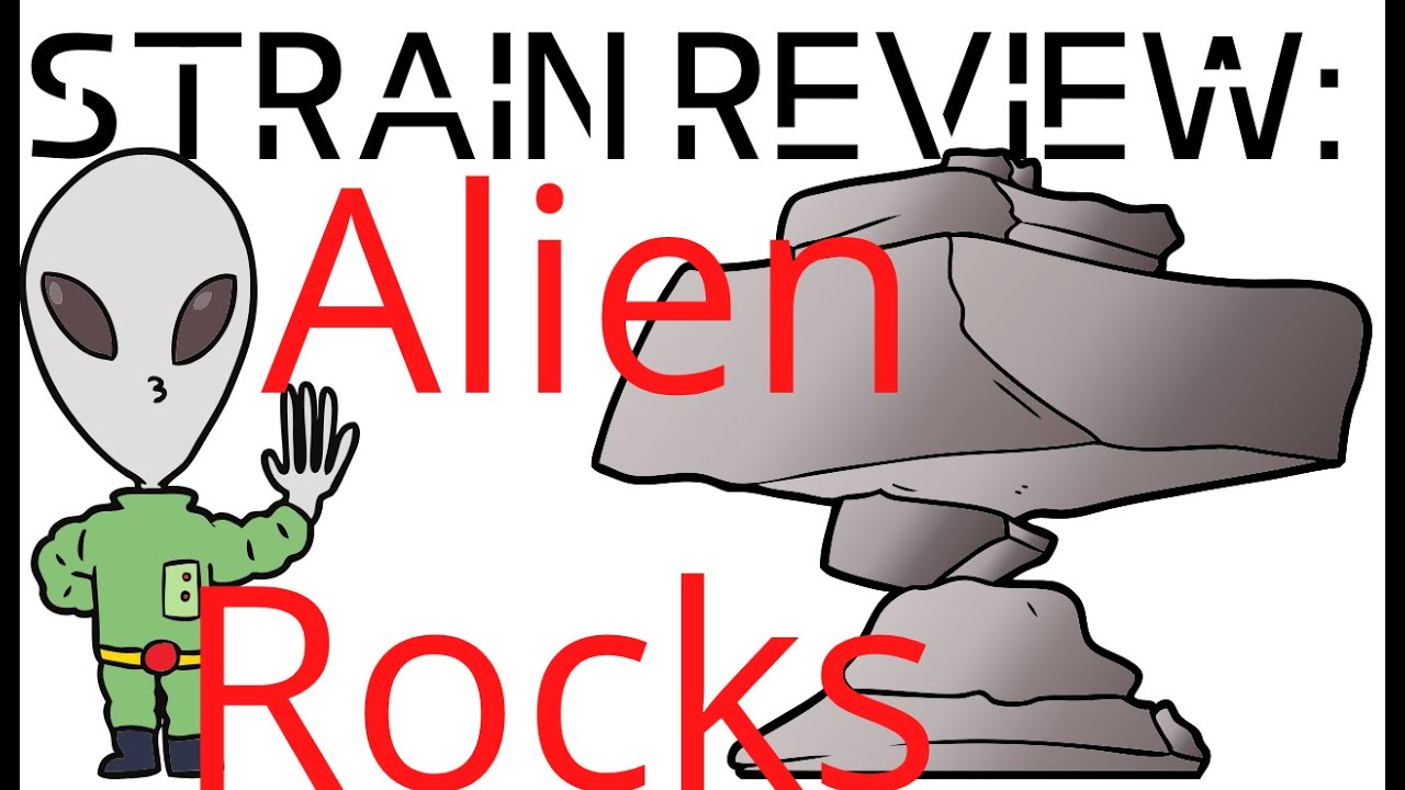 Strain Review: Alien Rocks terp sugar