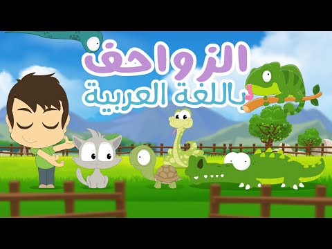 تعليم اسماء الزواحف للأطفال مع زكريا تعلم اسماء الزواحف باللغة العربية