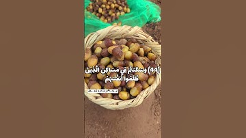 تلاوة ثنائية بالصيغة الفيلالية  🤍