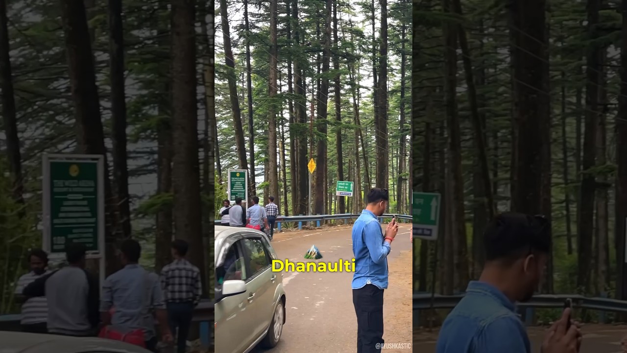 Dhanaulti Tourist Places || Places to visit in Dhanaulti #dhanaulti #uttarakhand
