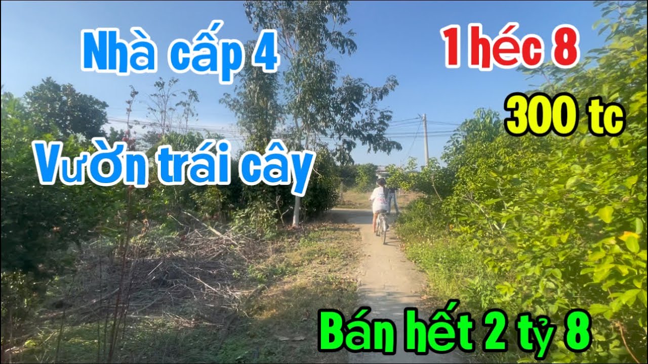 Cần bán nhầm vườn trái cây điện nước đầy đủ tại tân phú tỉnh đồng Nai 