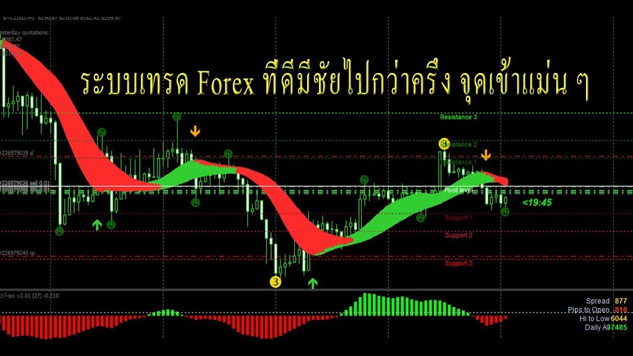 all forex templates