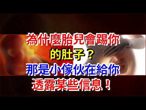 為什麼胎兒會踢你的肚子？那是小傢伙在給你透露某些信息！