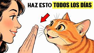 Haz estas 7 COSAS TODOS LOS DÍAS y tu gato sabrá que lo AMAS