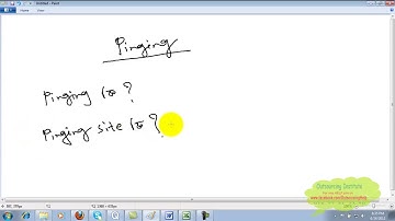 Pinging Bangla Tutorial || SEO Lesson- 20||