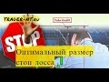 Стоп-лосс: какой размер стоп-лосса ставить в сделке