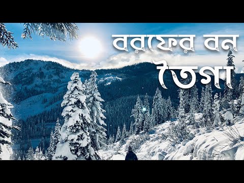 পৃথিবীর বৃহত্তম বনাঞ্চল তৈগার অজানা রহস্য | আশ্চর্য ধারা