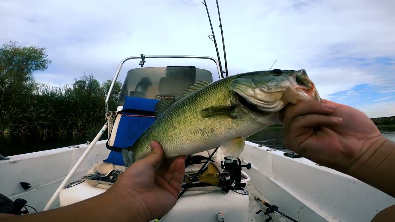 Learning how to Frog! (Lake Skinner Bass Fishing)