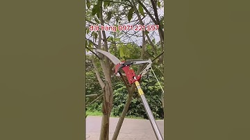 Kéo cắt cành giật dây dài 5 mét, cắt tỉa cành trên cao tặng kèm cưa