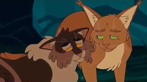 Here I Am (Bramblestar MAP) - Part 18