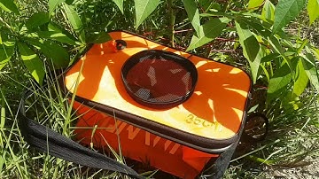 Tiếp tục câu cá trên ruộng lúa Lure Cá Lóc|Lure Fishing|Miền Tây Vlog|chúc các bạn xem video vui vẻ