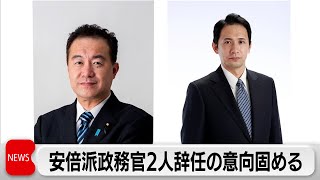 自民党安倍派の政務官2人が辞任の意向を固める（2024年1月31日）