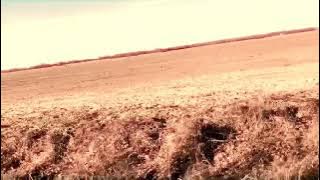 Download lagu Pure As A Lie - Thirty Three (Smashing Pumpkins Cover)