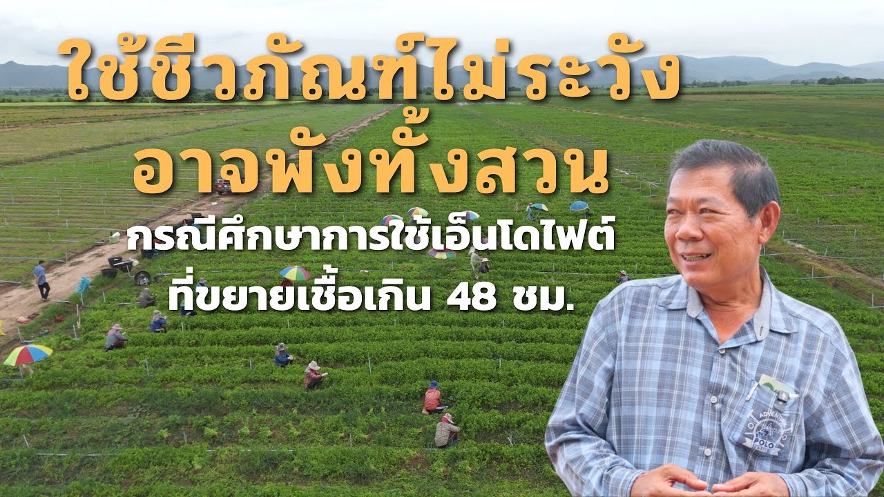 ใช้ชีวภัณฑ์ไม่ระวัง อาจพังทั้งสวน กรณีศึกษาการใช้เอ็นโดไฟต์ที่ขยายเชื้อเกิน 48 ชม. พี่บัญชา