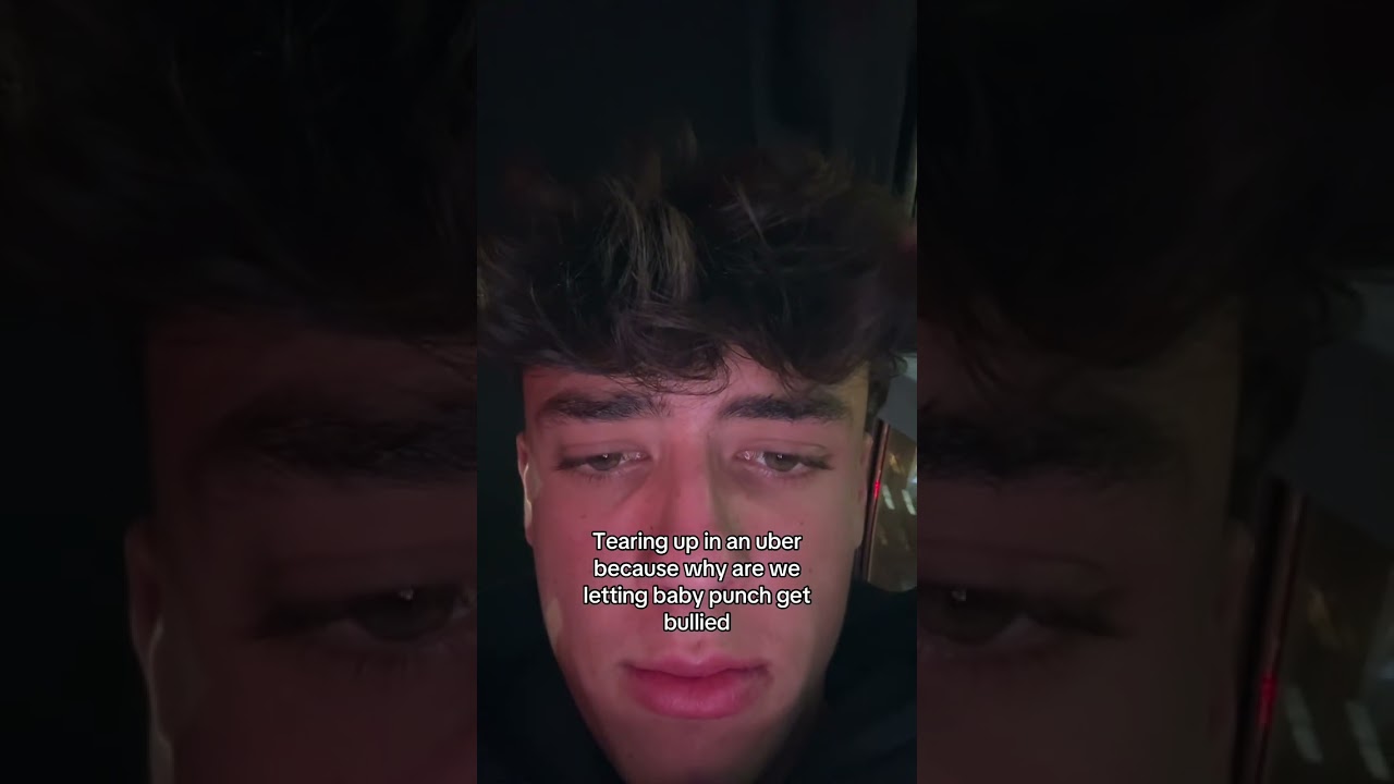 Почему обезьяна меня растрогала 