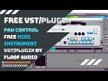 Paw Control - FREE MIDI Instrument VST/Plugin by Floof Audio #PawControl #FloofAudio