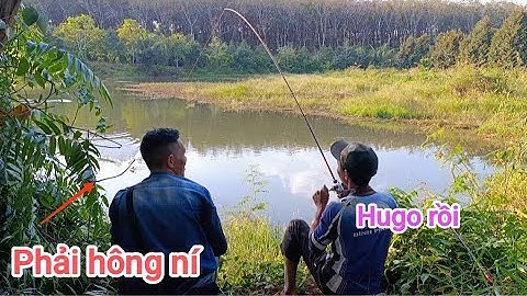 Câu cá lóc_Đập nhỏ lại đụng Hugo @Hữunghị tv