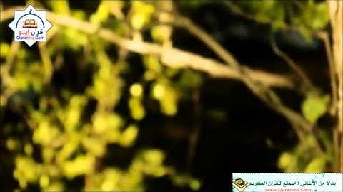 سورة المائدة - القران الكريم بصوت توفيق الصايغ