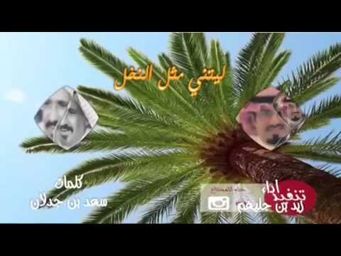 ليتني مثل النخل مايجيب الا تمر